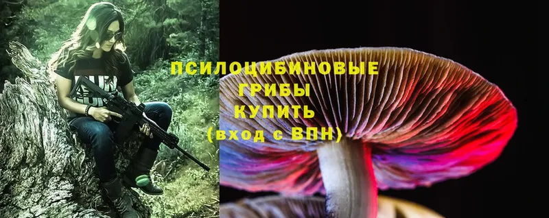 Галлюциногенные грибы Magic Shrooms  Канск 